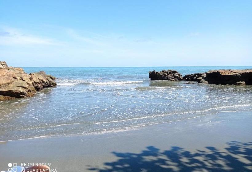 Pension Hostal Belleza Tropical