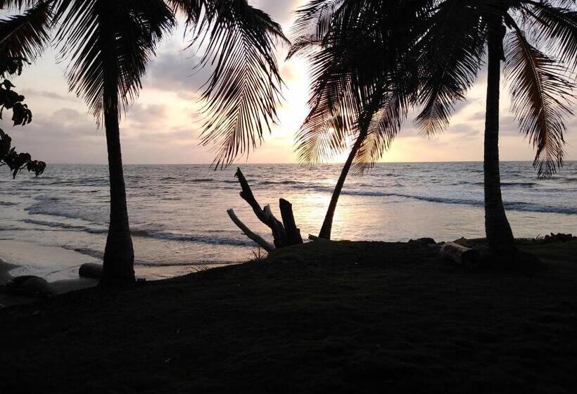 Pension Hostal Belleza Tropical