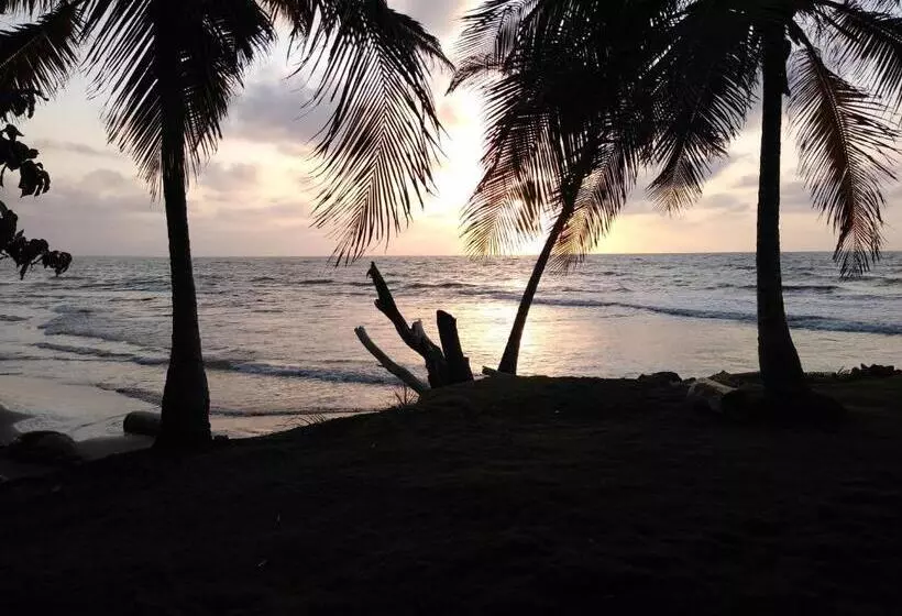 ペンション Hostal Belleza Tropical