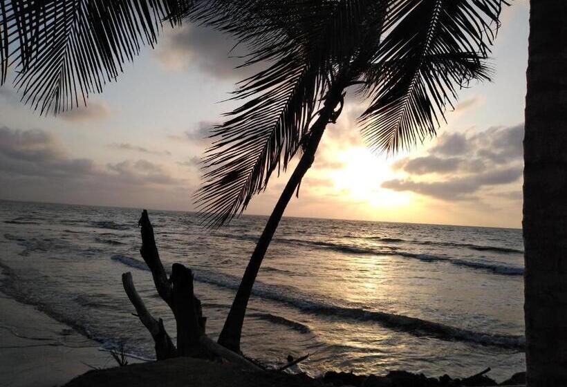 Pension Hostal Belleza Tropical