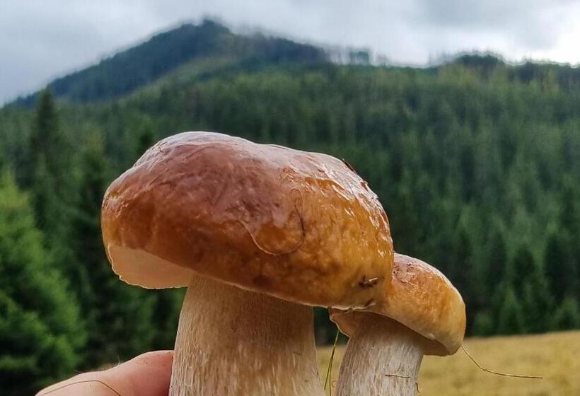 Pension Helena Honesová