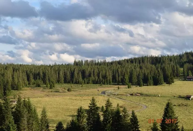 Pension Helena Honesová