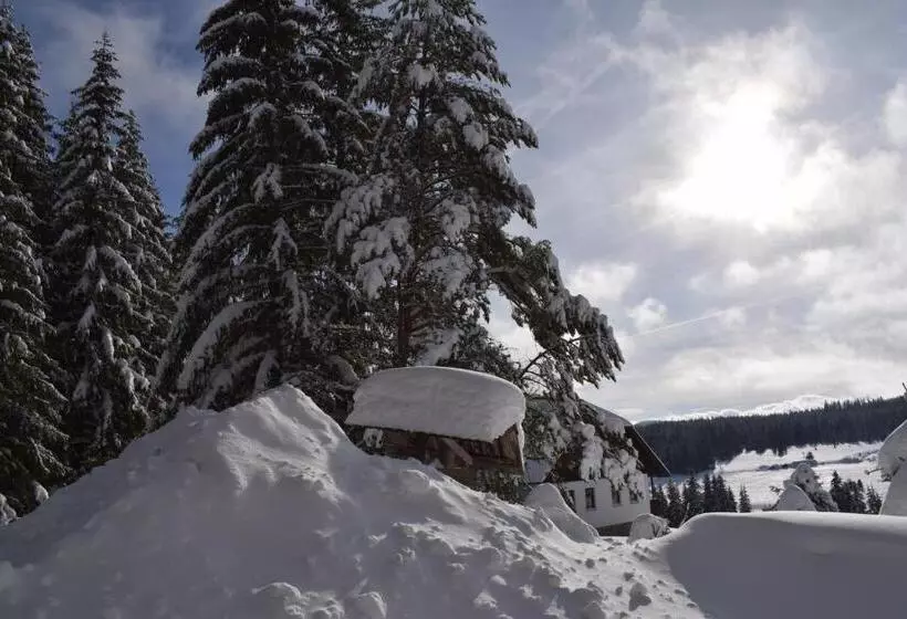 Pension Helena Honesová