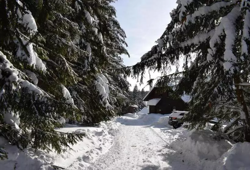 Pension Helena Honesová