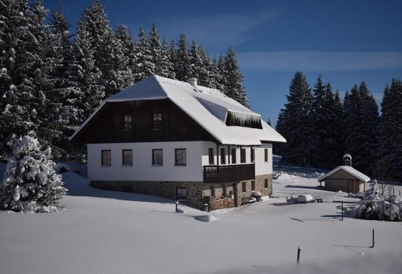 Pension Helena Honesová