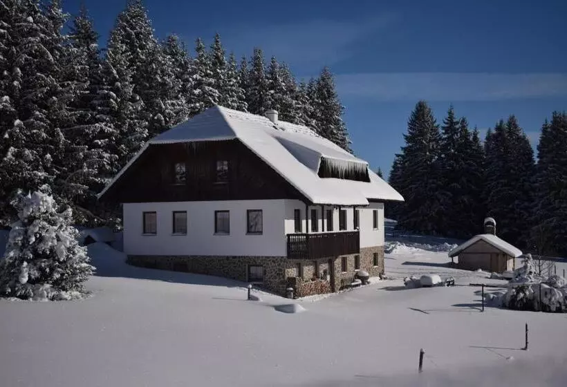 Pension Helena Honesová