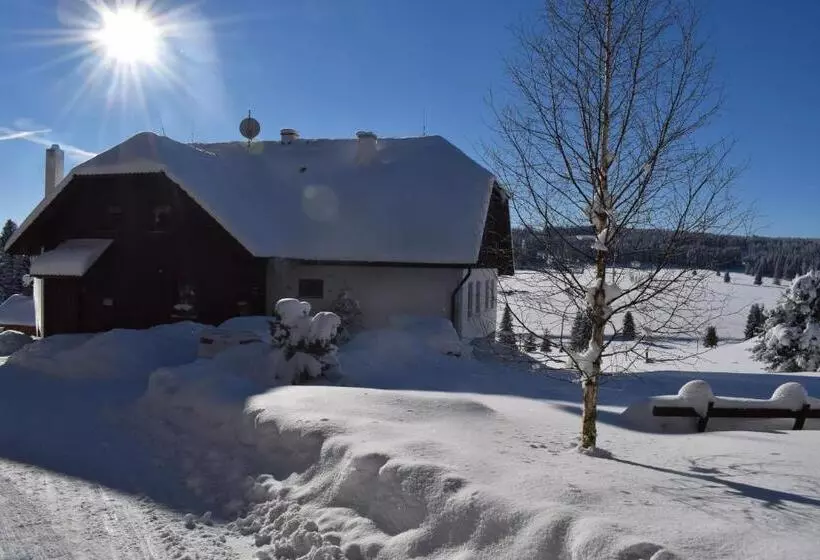 Pension Helena Honesová