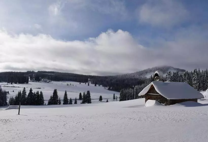 Pension Helena Honesová