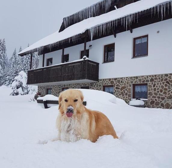 Pension Helena Honesová