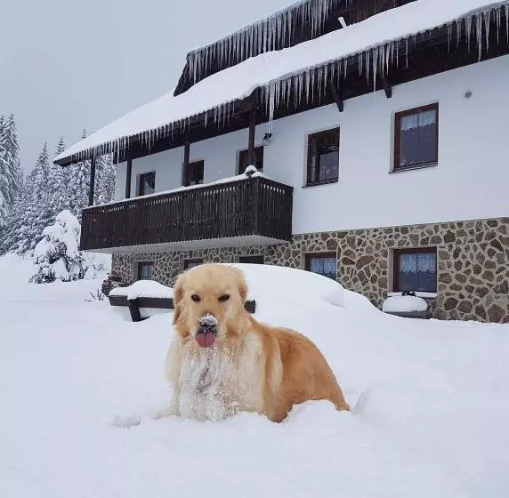 Pension Helena Honesová