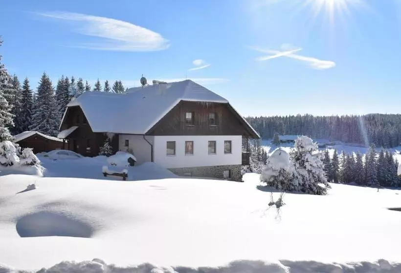 Pension Helena Honesová