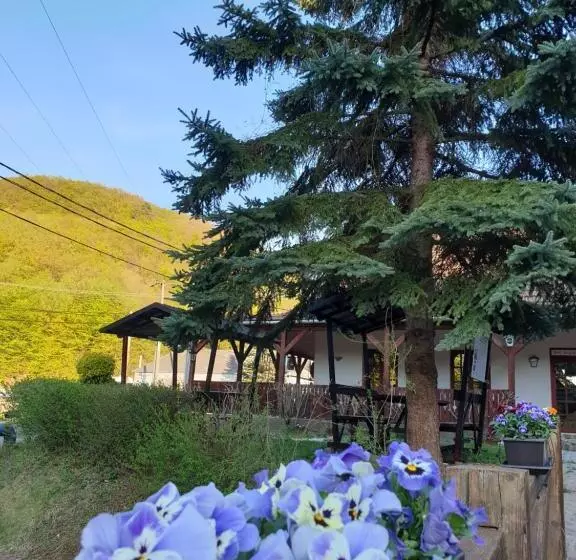 ユースホステル Fakanalas Fogadó