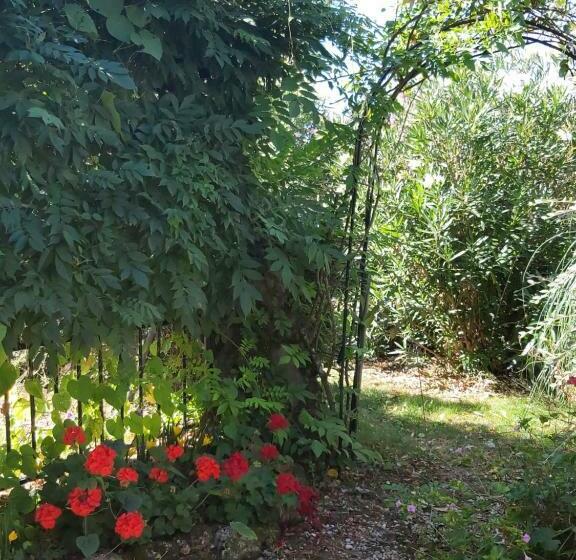 Bed and Breakfast Roulotte Chic