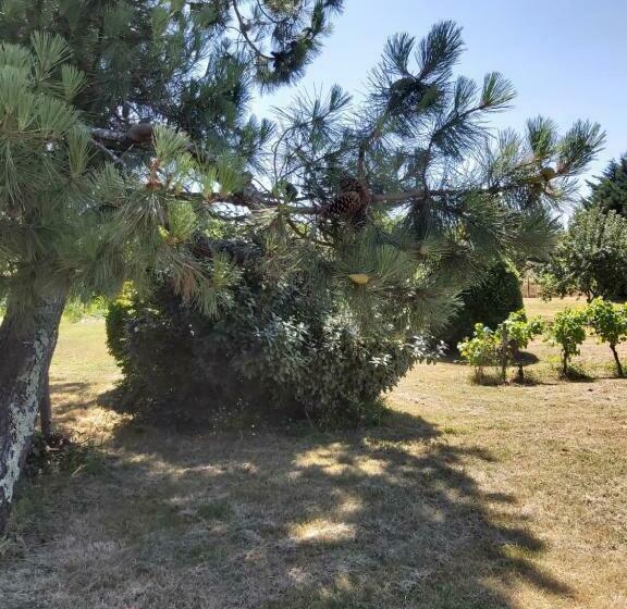 Bed and Breakfast Roulotte Chic