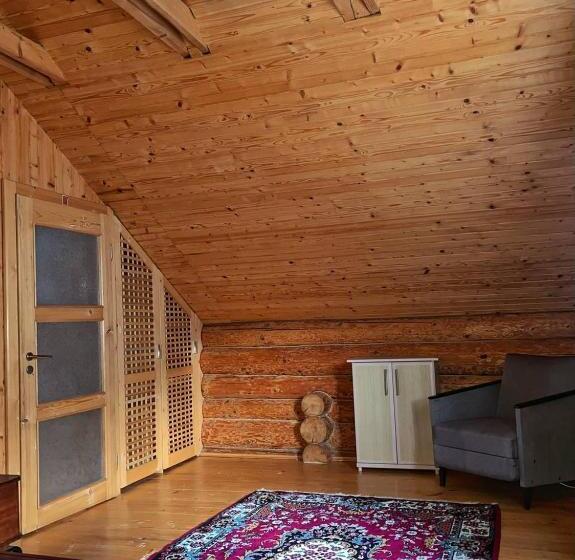 Otel шовкова косиця