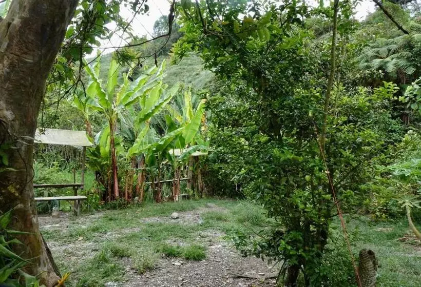 Hotelli Hostal Casa Victoria Pijao