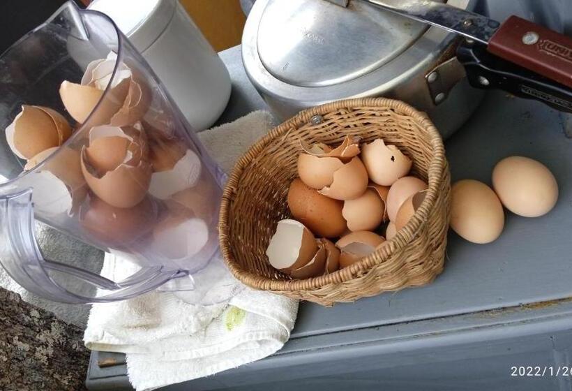 Hotel Hostal Casa Victoria Pijao