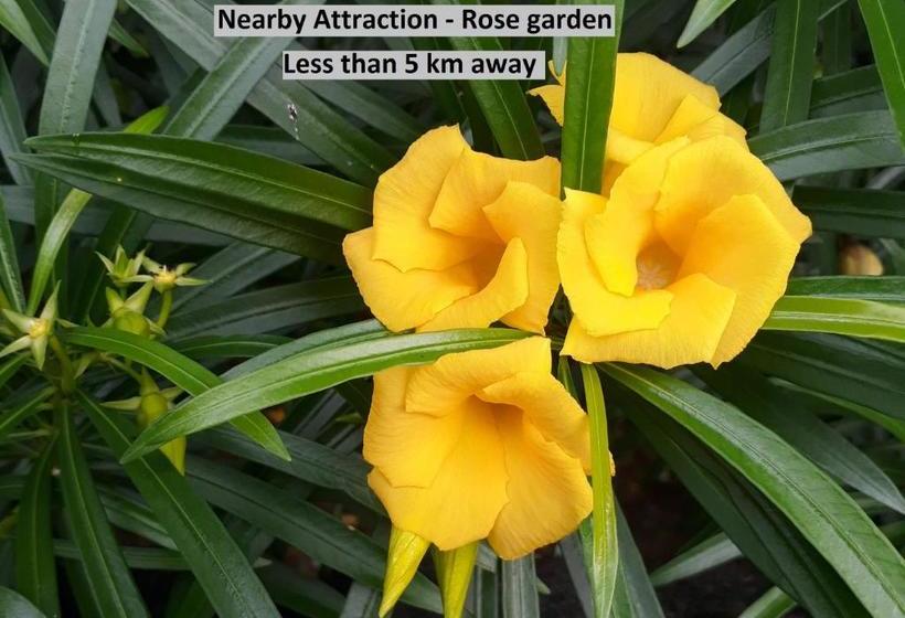 בית מלון כפרי Oyo 48981  Savera