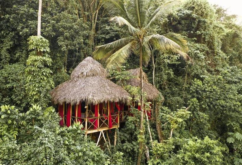 استراحتگاه Dominican Tree House Village