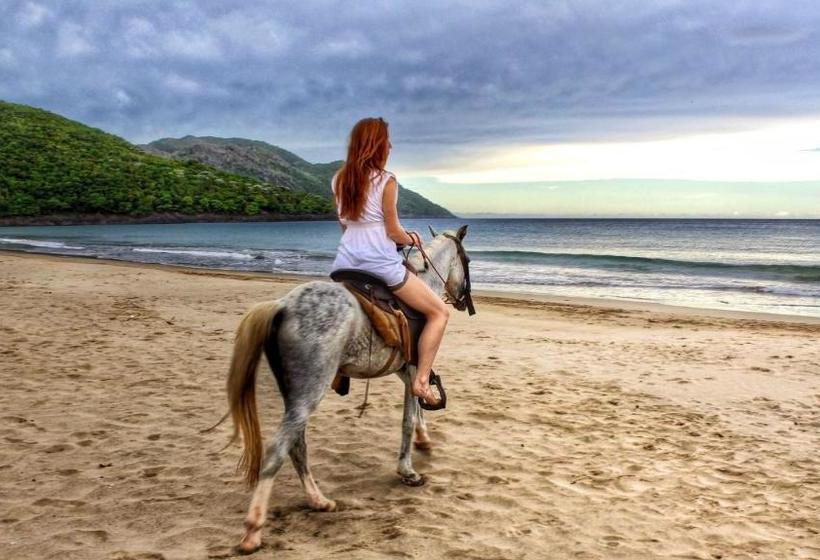 استراحتگاه Dominican Tree House Village