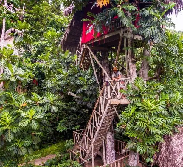 استراحتگاه Dominican Tree House Village