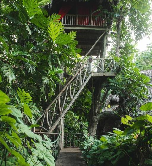 استراحتگاه Dominican Tree House Village
