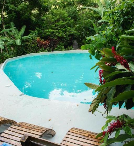 استراحتگاه Dominican Tree House Village