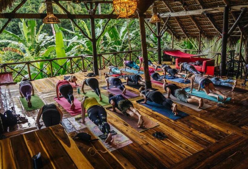 استراحتگاه Dominican Tree House Village