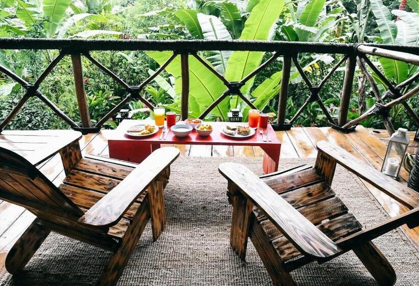 استراحتگاه Dominican Tree House Village