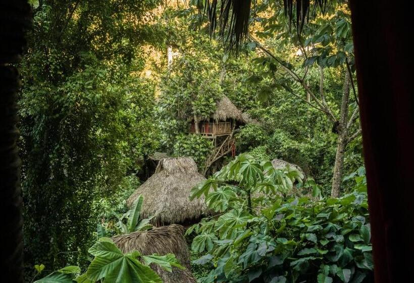 استراحتگاه Dominican Tree House Village