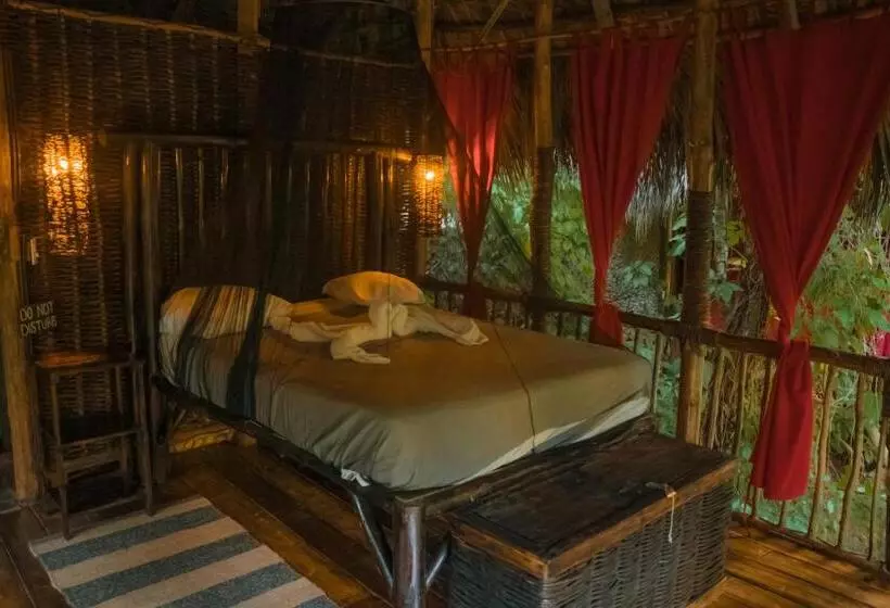 استراحتگاه Dominican Tree House Village