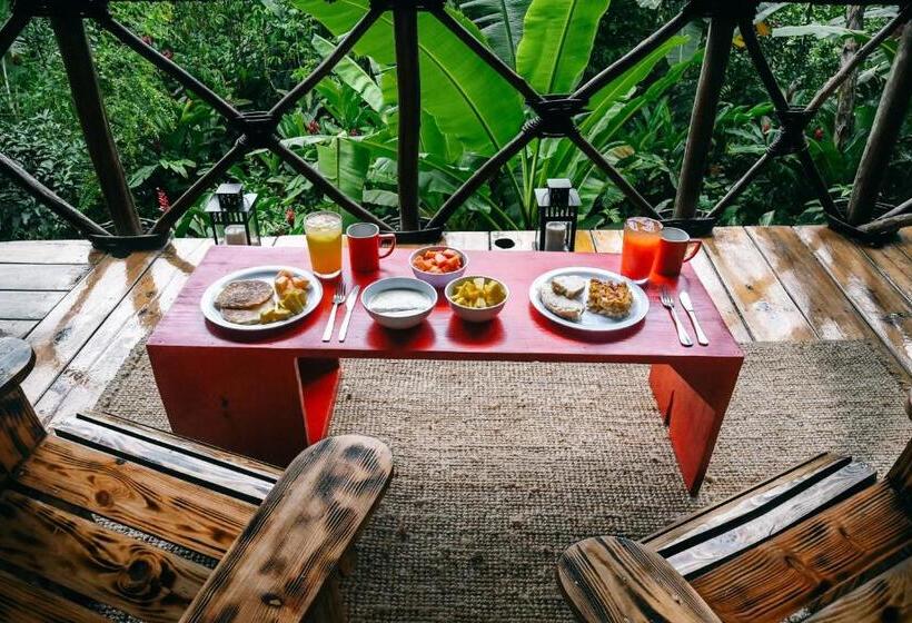 استراحتگاه Dominican Tree House Village