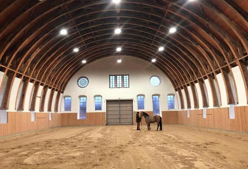 Farmer Hotel Basedow