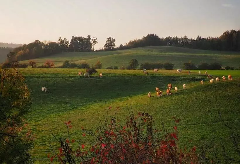 Hotelli A Hostinec Slunce