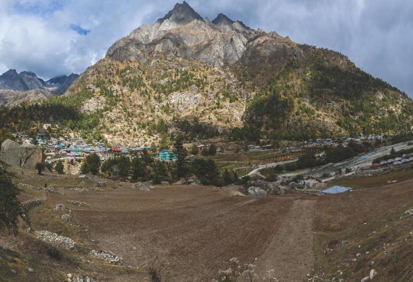 בית מלון כפרי Kinnor Retreat