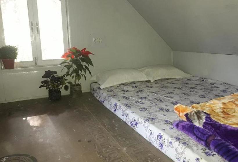 Hotel Vamoose Hornbill