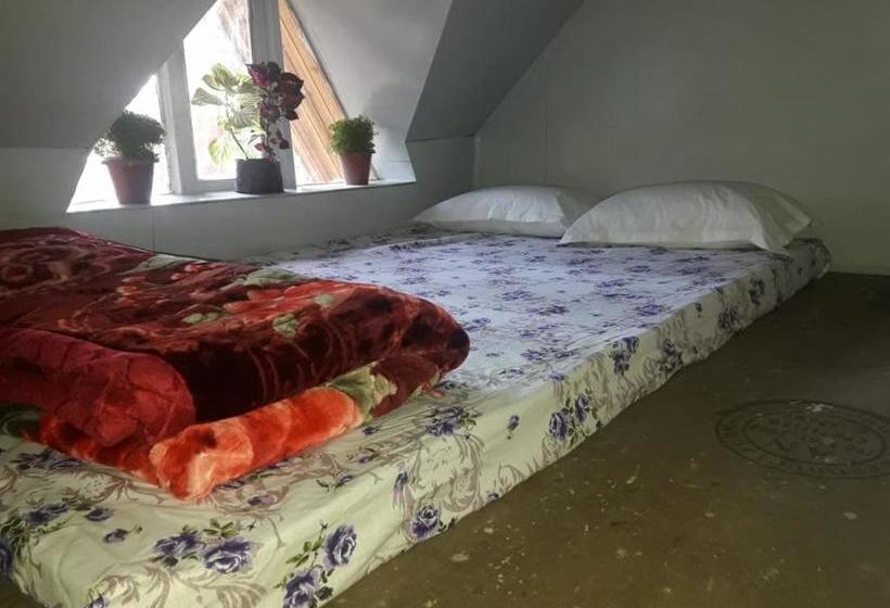 Hotel Vamoose Hornbill