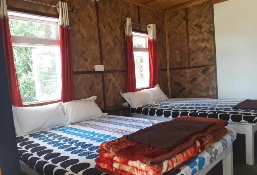 Hotel Vamoose Hornbill