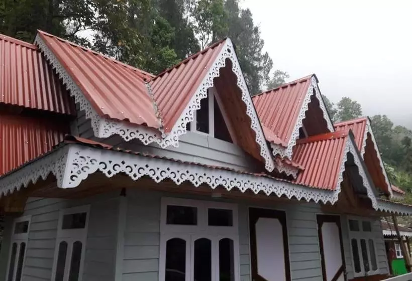 ホテル Vamoose Hornbill