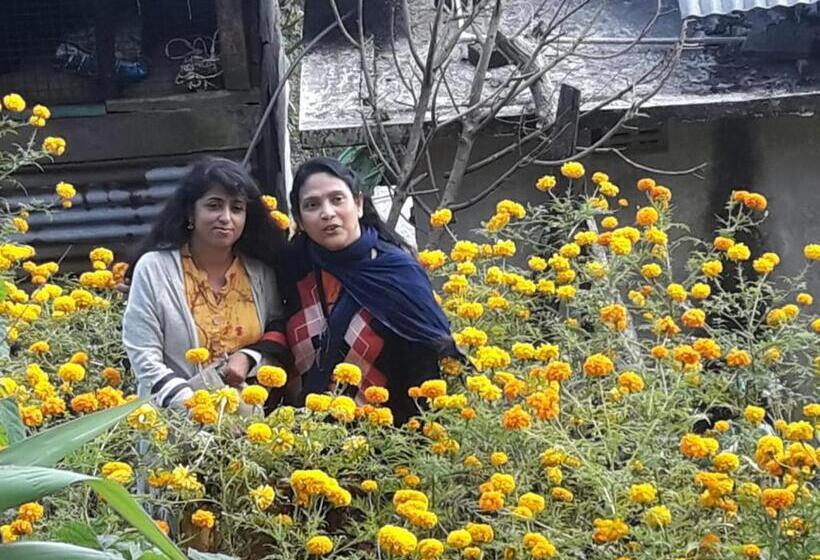 Hotel Vamoose Hornbill