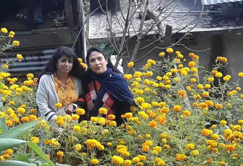 ホテル Vamoose Hornbill