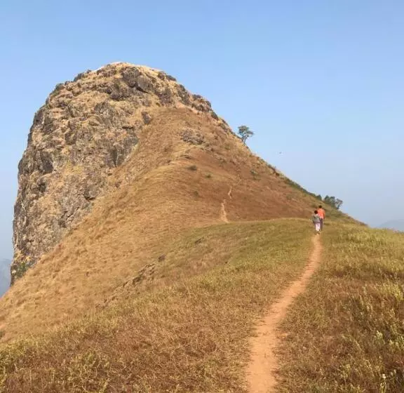 Machaan Plantation Resort, Sakleshpur