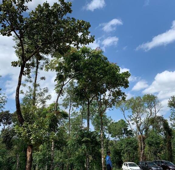 Machaan Plantation Resort, Sakleshpur