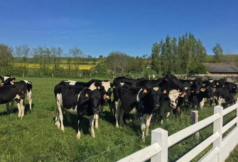 Majatalo B&b De Saint Come De Fresne