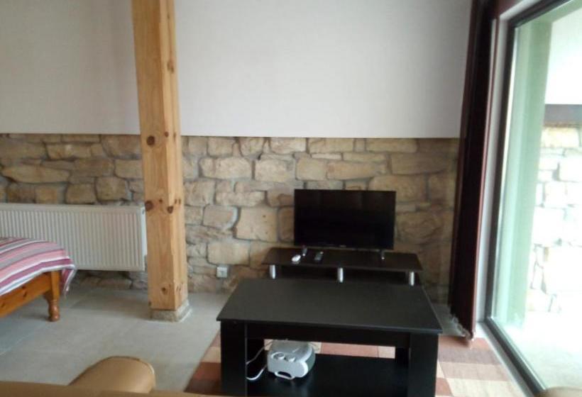 Pensjonat Studio Apartment In Palamartsa