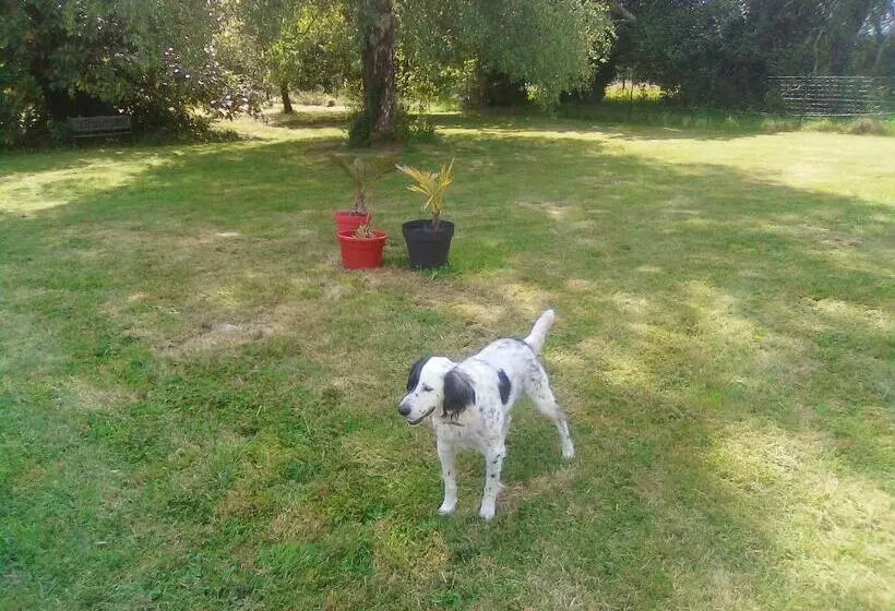 Aamiaismajoitus (B&B) La Villa Du Bearn