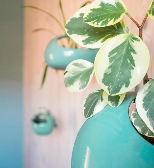 تختخواب و صبحانه Maison D Hôtes La Source Paisible