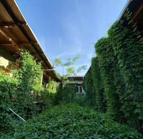 Bed and Breakfast Rahmon