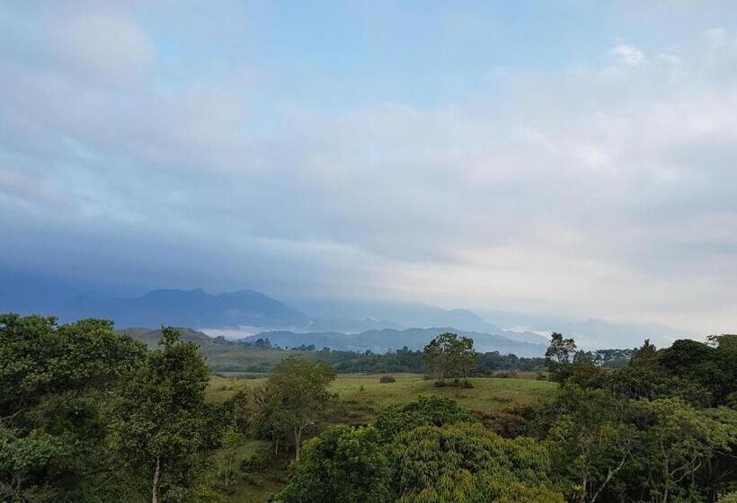 Отель Terrazas De Guadalupe