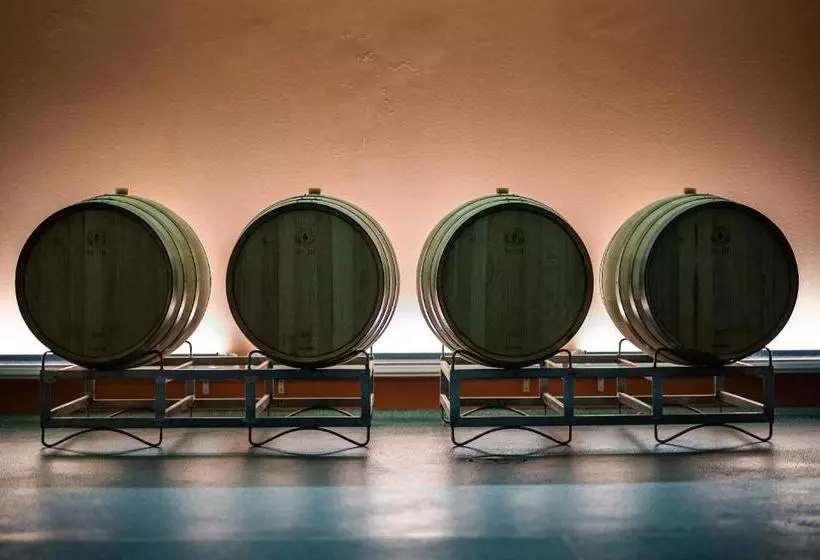 Hotel Weingut Tschermonegg